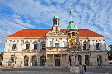 Magdeburg - Rathaus und Magdeburger Reiter von t.ART
