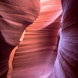 Slot Canyon Rocks sur Nilay Singh