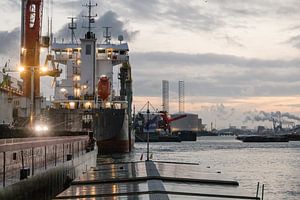 Frachtschiff am frühen Morgen im Hafen von Rotterdam.