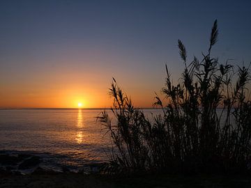 Vormittag in Praia da Luz