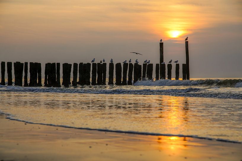 Domburg, Walcheren Zeeland par Dirk van Egmond