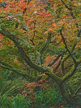 Colour and texture by Roger Trelou