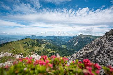 Alpenrozen met uitzicht op Bad Hindelang, Grünten en de Allgäu van Leo Schindzielorz