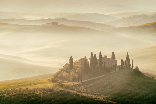 Tuscan Light