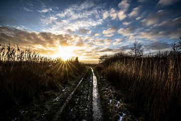 Onlandsedijk op een winteravond bij de Onlanden