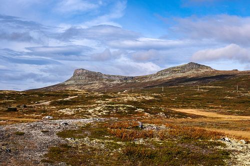 Dans les montagnes de Rondane