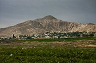 Eine grüne Wiese und ein Berg in der Nähe von Jericho. von Michael Semenov Miniaturansicht