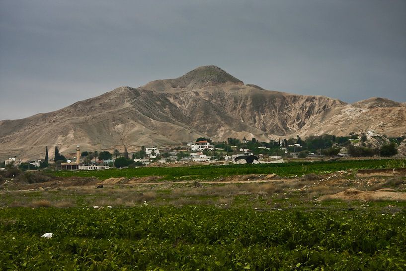Eine grüne Wiese und ein Berg in der Nähe von Jericho. von Michael Semenov