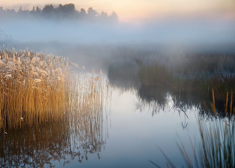 Mist at the lake by BMac