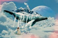 Whale