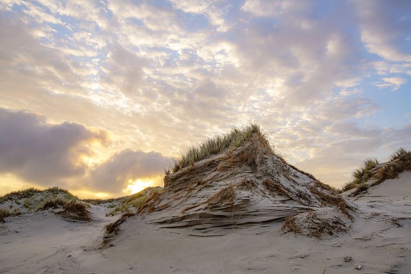 Terschelling en de prachtige natuur van Dirk van Egmond