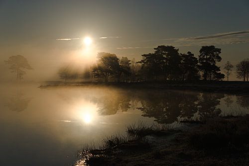Sunrise and fog in the Drents-Friese Wold