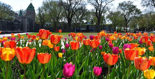 De tuin van het parlement in de lente