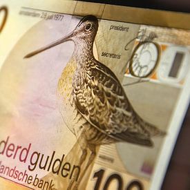 100 gulden biljet - 100 guilder banknote van Wim Goedhart