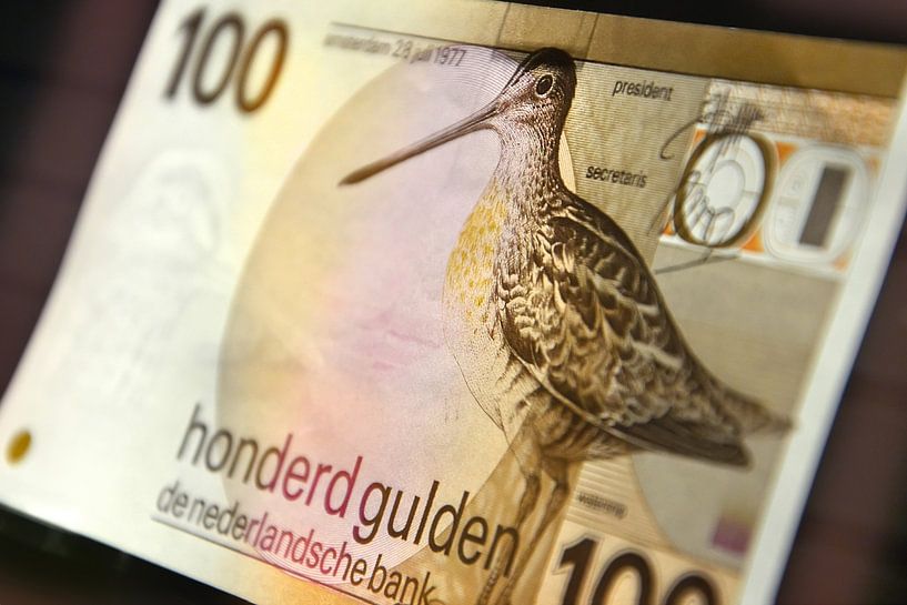 100 gulden biljet - 100 guilder banknote van Wim Goedhart