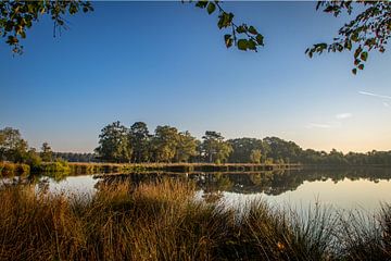 A glimpse into the nature of Westerwolde