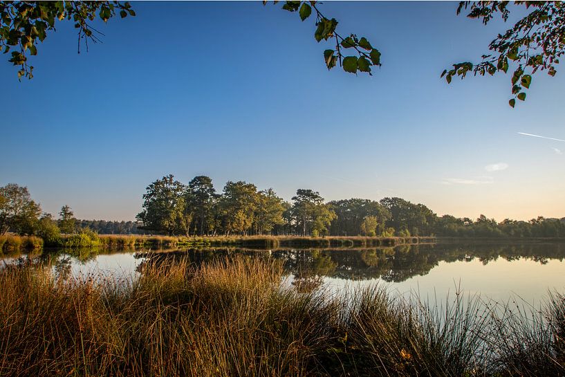 Een doorkijkje in de natuur van  Westerwolde van Danny Hummel