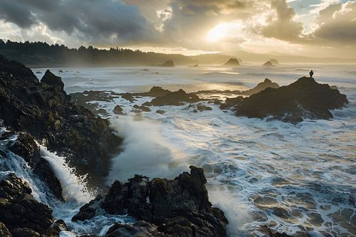 Magisch moment in de natuur
