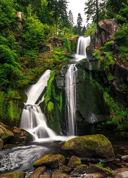 La chute d'eau de Triberg dans un vert luxuriant