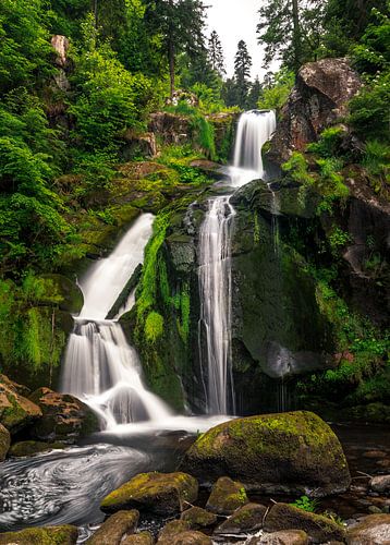 Der Tribergerwasserfall im saftigen grün