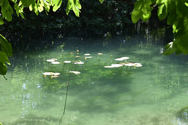 Calm waters at the Krka Waterfalls by Erik Buitenhuis