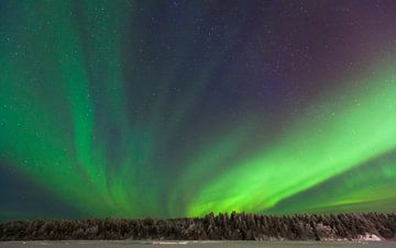 Northern Lights by Frank Peters