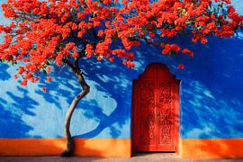 Colourful blossoms by Poster Art Shop