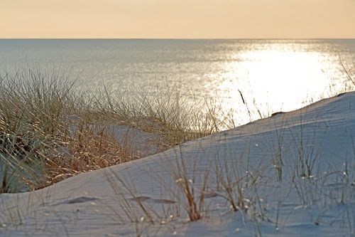 Gouden zonsondergang vanuit de duinen te Egmond
