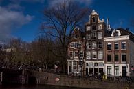 Amsterdamse Huisjes van Leanne lovink thumbnail