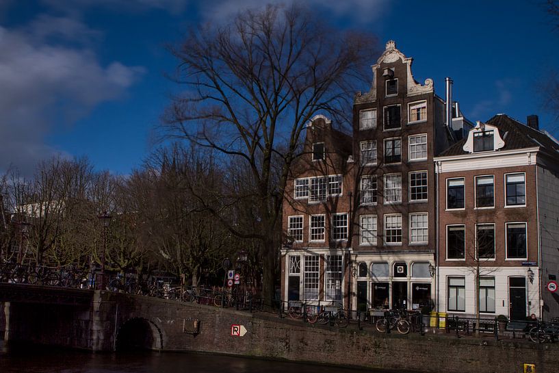 Amsterdamse Huisjes van Leanne lovink