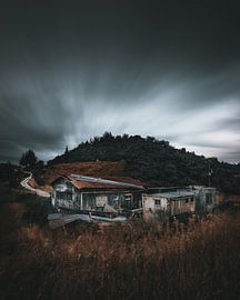 Waitomo - New Zealand by Jip van Bodegom