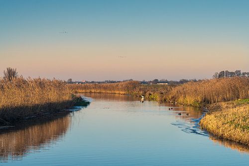 Het Valleikanaal (De Grift) in het Binnenveld