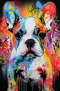 Französische Bulldogge Pop Art