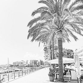 Promenade van de haven in Cala Bona op het eiland Mallorca van Alex Winter