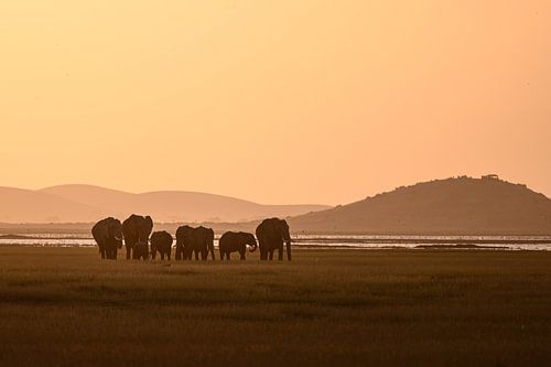 Kenia | Weiße-Berg-Bewegung 6