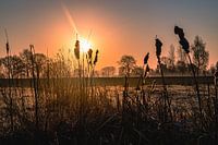 Lever de soleil, aube