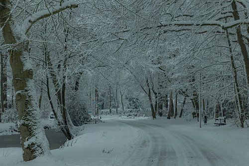 Winter, sneeuw in de Wilgenhof van Beetsterzwaag Opsterland Friesland