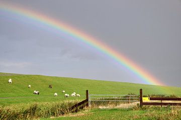 Rainbow biegt den Noordzeedijk / Rainbow über den Nordseedeich