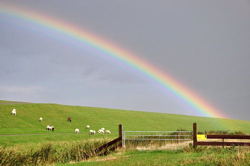 Rainbow bends the Noordzeedijk / Rainbow over the Northsea dike