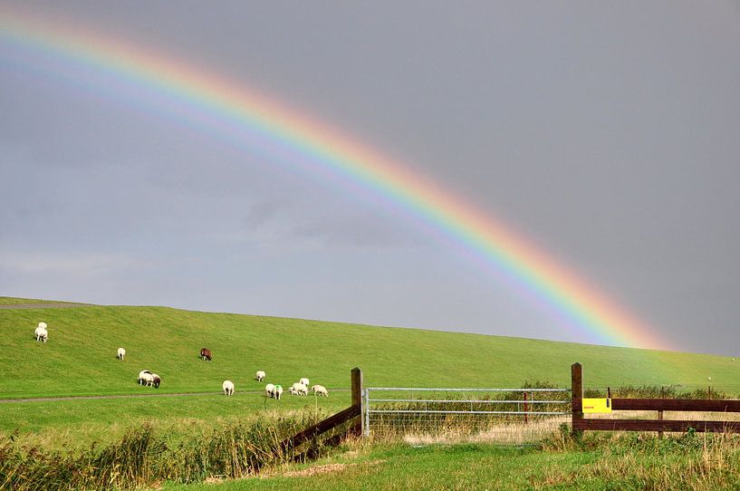 Regenboog boven de Noordzeedijk / Rainbow over the Northsea dike van Henk de Boer
