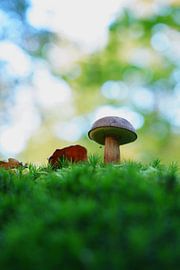 Einhorn-Brot von Surreal Media