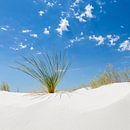 White Sands Impression van Melanie Viola thumbnail
