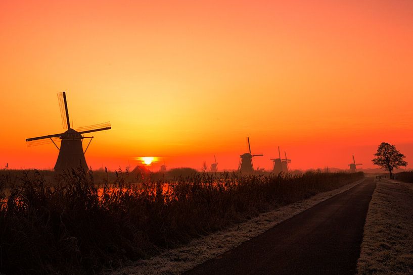 Goodbye Kinderdijk by Cho Tang