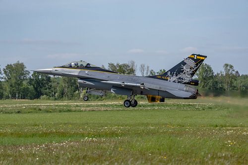 F-16-Jubiläumsfall von 1 SQN "Stingers".