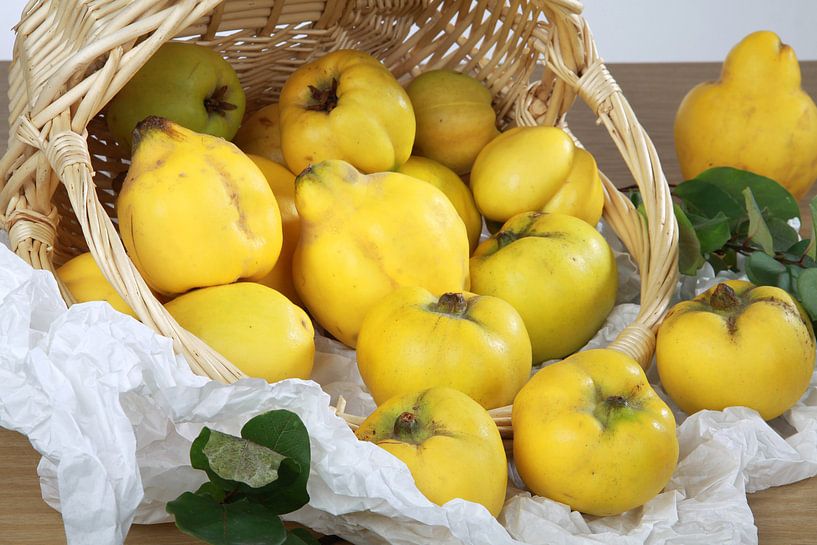 Quitten von Karina Gebert