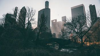 Gapstow Bridge - Central Park