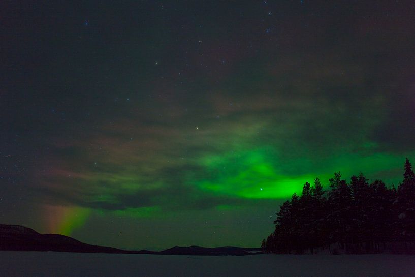 Nordlicht in Schwedisch-Lappland von Arnold van Rooij