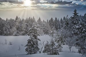 Winterlandschaft in Norwegen