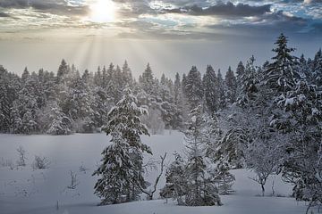 Winterlandschap in Noorwegen van Kai Müller