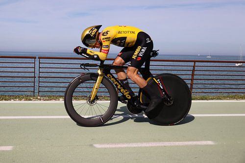 Primoz Roglic the Olympic champion